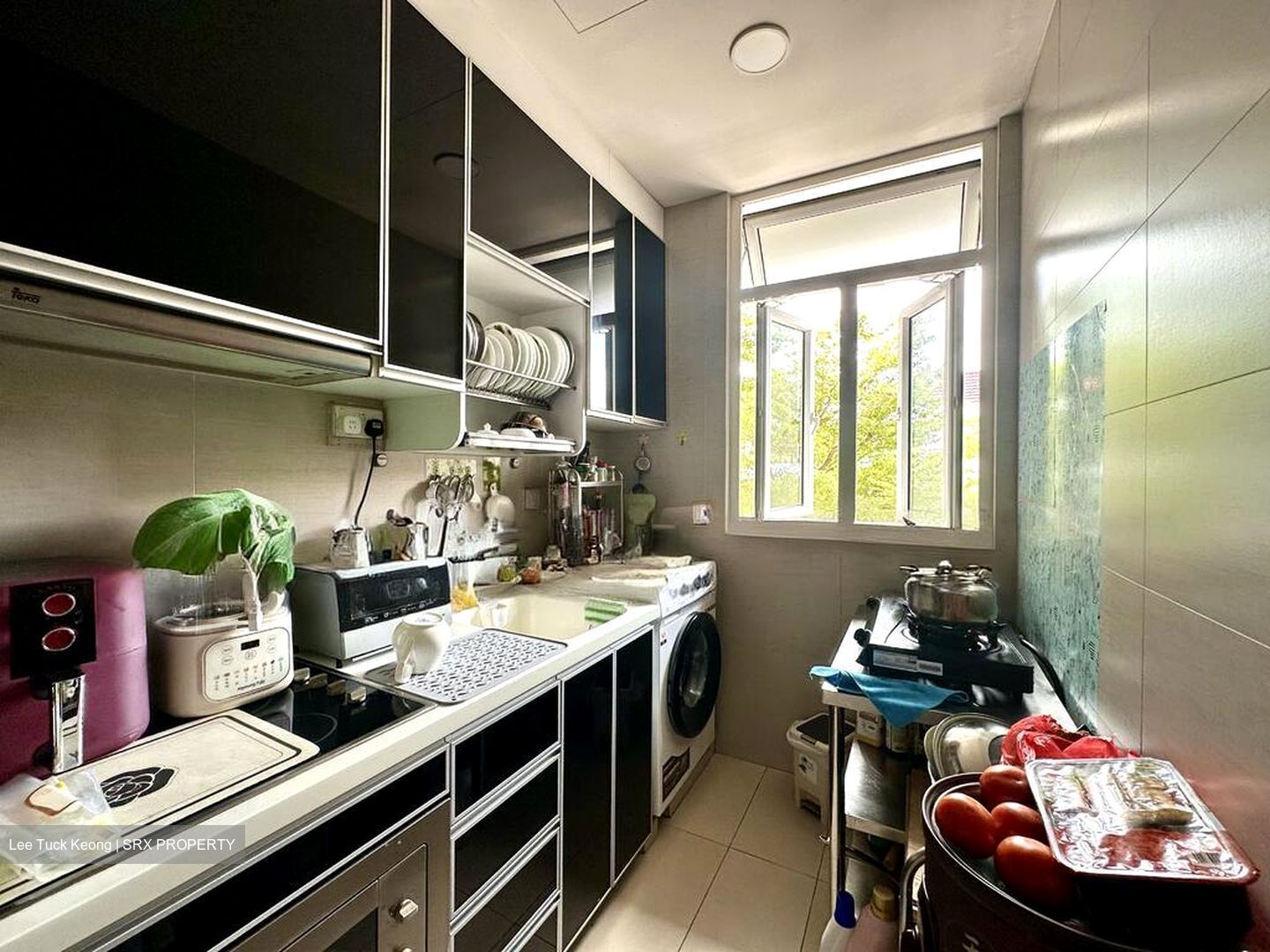 Onan Suites (D15), Apartment #498452141